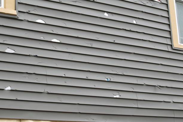 How To Choose The Right Materials for Your Siding Installation in 'West Glendive, MT